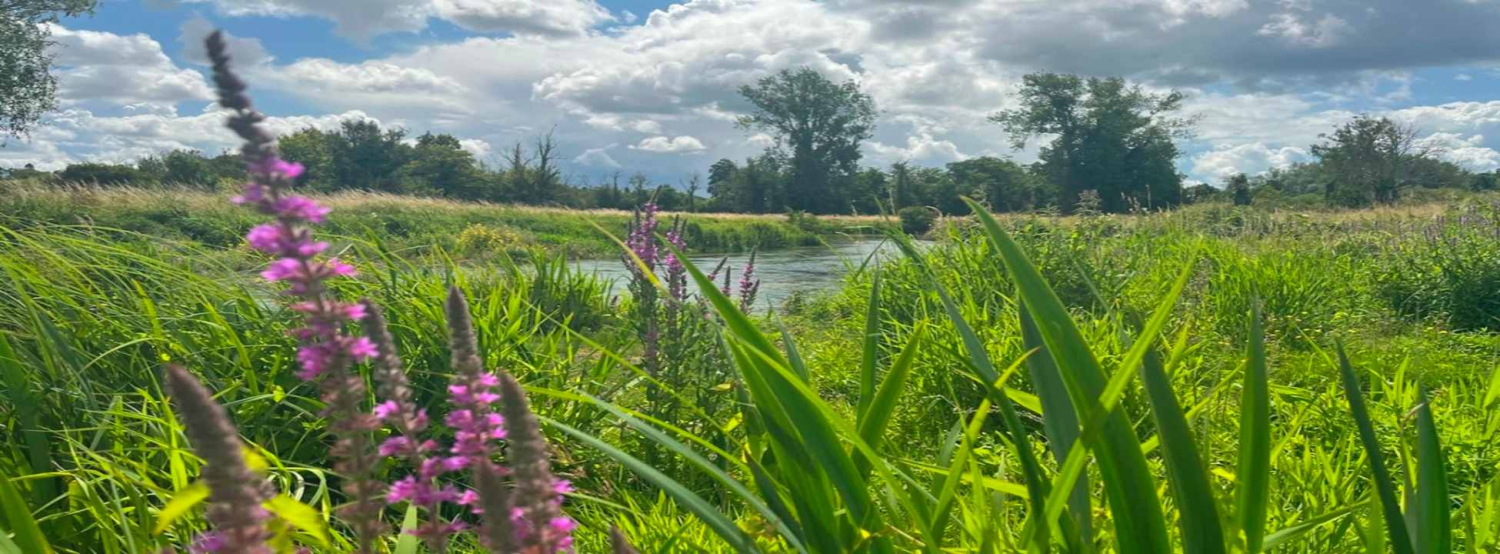 Ithchen T & I Home - Test and Itchen Association
